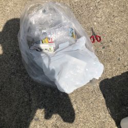 清掃活動：何とか釣れたけどリリースサイズ