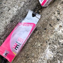 清掃活動：2022 佐渡ヶ島エギング 7回…