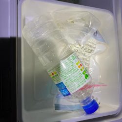 清掃活動：今年初タチウオ