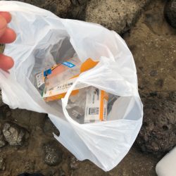 清掃活動：秋イカ好調