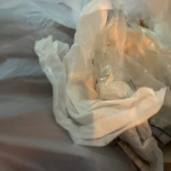 清掃活動：風にのって