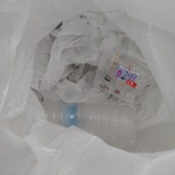 清掃活動：秋の夜の家族サービス