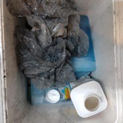 清掃活動：ティップラン２回目！