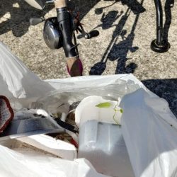 清掃活動：朝マズメ短時間釣行