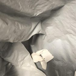 清掃活動：2022 佐渡ヶ島エギング 5回…