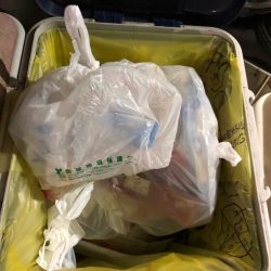 清掃活動：【秋イカ好調】京丹後〜伊根湾