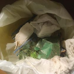 清掃活動：秋口、淀川河口にて