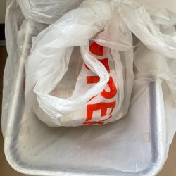 清掃活動：エギング日和☀&#…