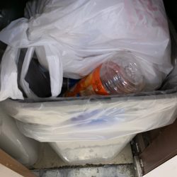 清掃活動：青物FEVER??