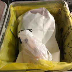 清掃活動：【越前】アオリイカ探し①