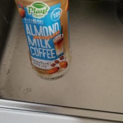 清掃活動：イカボウズでアオヤガラ