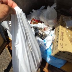 清掃活動：秋第３陣！