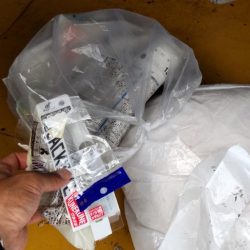 清掃活動：秋イカ開幕！