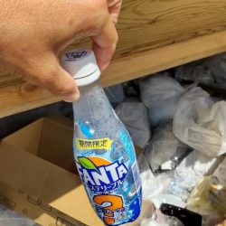 清掃活動：秋第５陣！