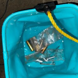 清掃活動：ワインドで獲り切れなかった太刀魚…