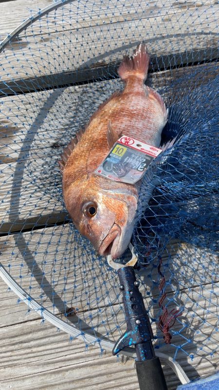 家島水宝での釣果
