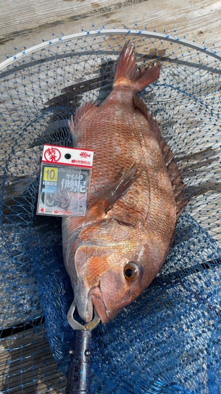 家島水宝での釣果