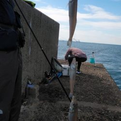 僅かな時合いを捉えました