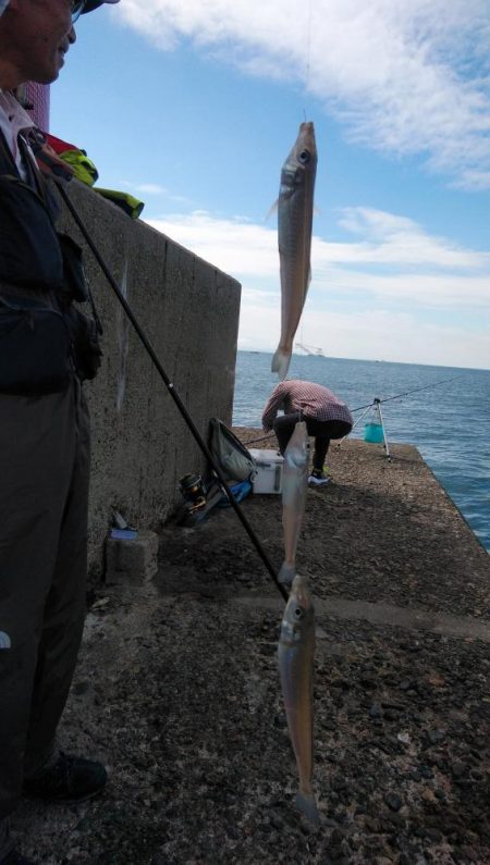 僅かな時合いを捉えました