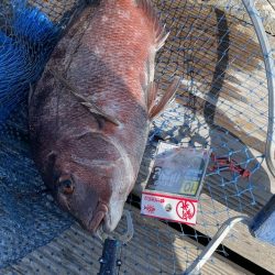 家島水宝での釣果