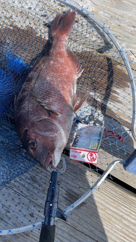 家島水宝での釣果