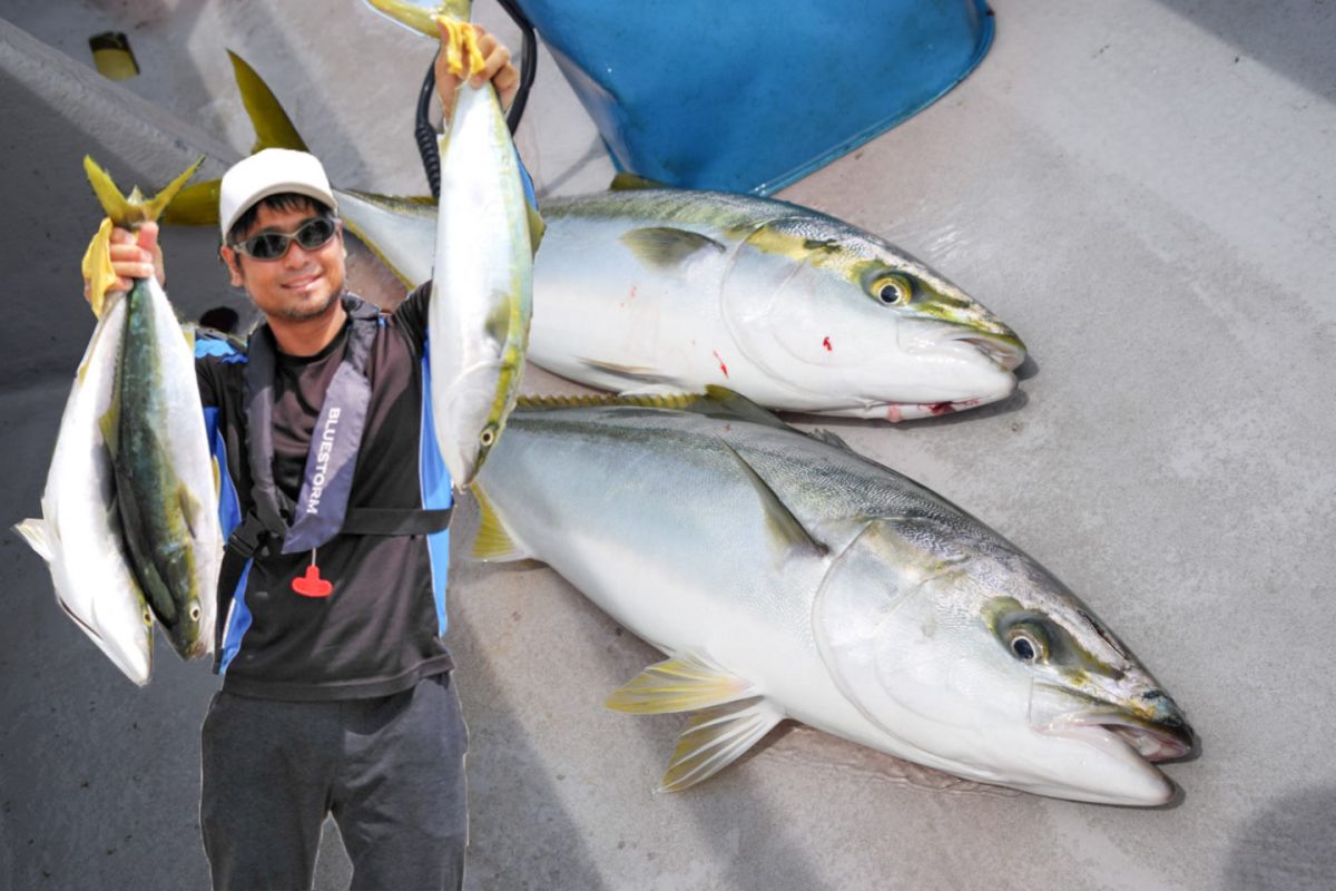 ジギング釣行 伊勢湾ありもと丸で青物 タチウオがヒット 釣果情報サイト カンパリ