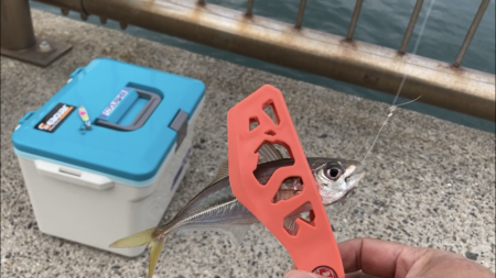 アジ釣り