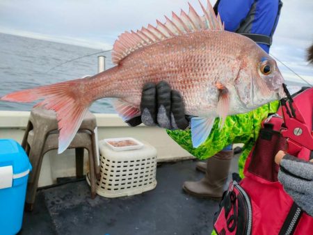 マダイテンヤで鯛とホウボウ