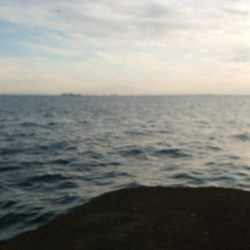 久々のチーバス