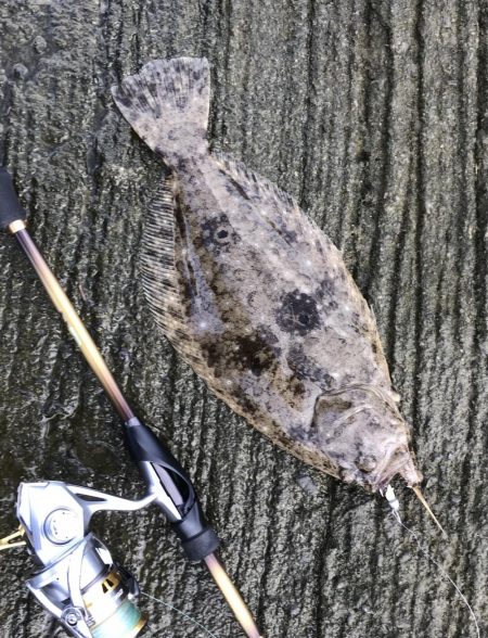 夜メッキから朝練メッキで最後にヒラメ！