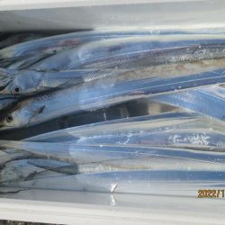 太刀魚が入れ食いでした(^^♪