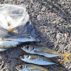 デカアジ目指して