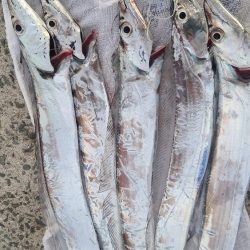 2時っチャオ(AM)