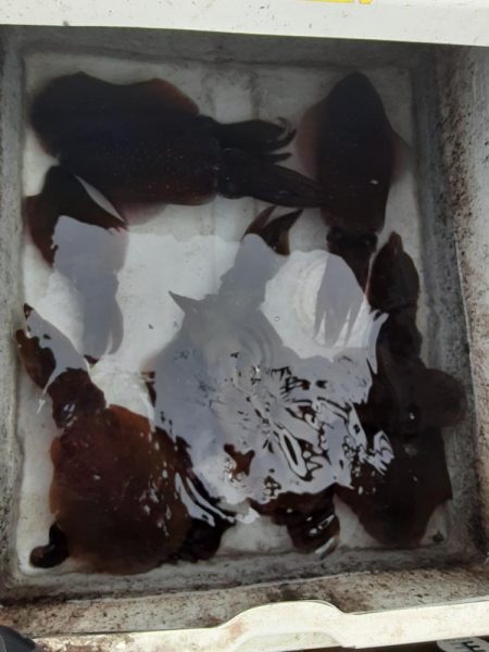 期待通りにいかない