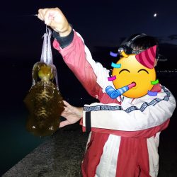 アオリイカ釣り