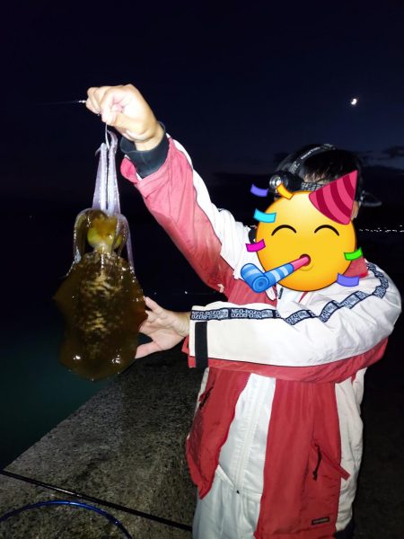 アオリイカ釣り