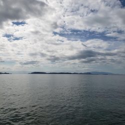 底モン、青モン狙い出撃