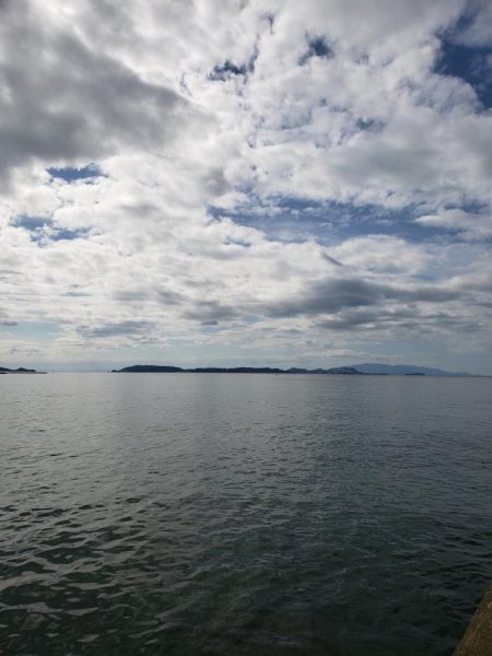 底モン、青モン狙い出撃