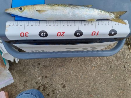 ジグサビキでゲット😆