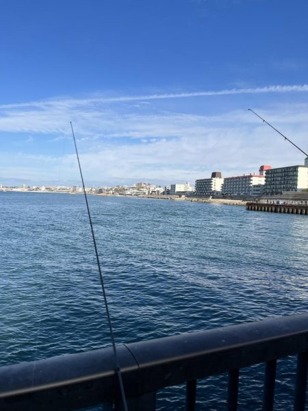 アジを求めてウロウロ②