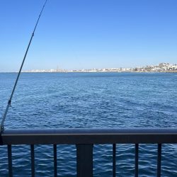 アジを求めてウロウロ