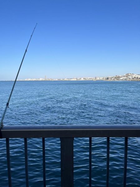 アジを求めてウロウロ