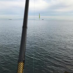 ベストタイミング