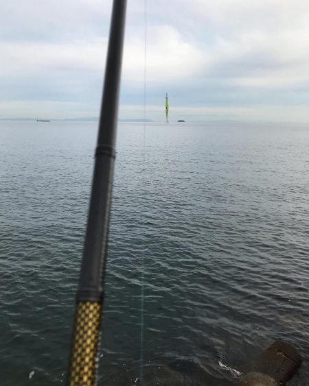 ベストタイミング