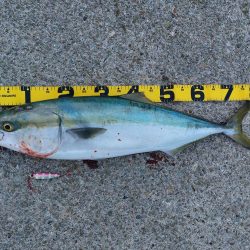 夕暮れのプチsalt water game