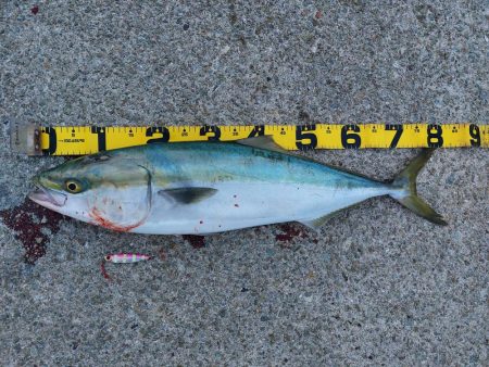 夕暮れのプチsalt water game…