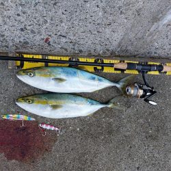 プチSalt water Game