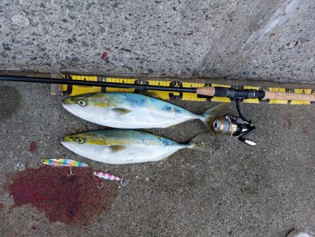 プチSalt water Game