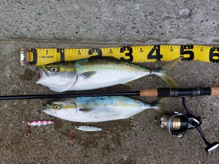 プチsalt water game