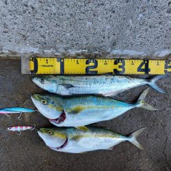 プチsalt water game